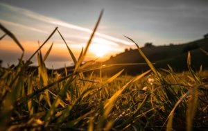 Lightwire - smarter rural broadband infrastructure